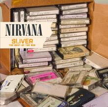 Nirvana: Sliver - The Best Of The Box