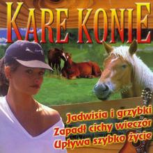 FALBIT: Kare konie