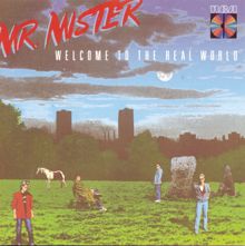 Mr. Mister: Welcome To The Real World
