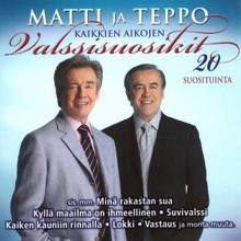 Matti ja Teppo: Lokki