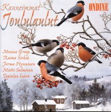 Tapiola Choir: Me kaymme joulun viettohon (We shall celebrate Christmas) (arr. I. Kuusisto for vocals)