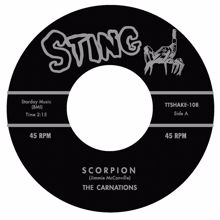 Carnations: Scorpion