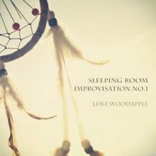 Luke Woodapple: Sleeping Room Improvisation No. 1