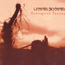 Lynyrd Skynyrd: All I Have Is A Song