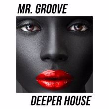 Mr. Groove: We're Living for the Moment (Radio Edit)