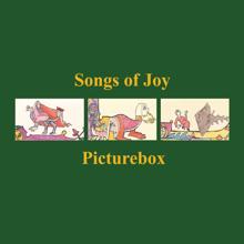 Picturebox: Songs of Joy