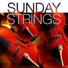 The New 101 Strings Orchestra: Sunday Strings
