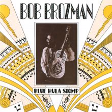 Bob Brozman: Wasting My Love On You (Album Version)