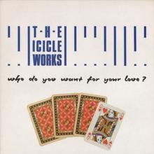 The Icicle Works: Understanding Jane (Live at the Town And Country Club)