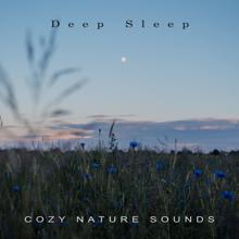 Deep Sleep: Cozy Nature Sounds
