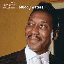 Muddy Waters: Don't Go No Farther (Single Version) (Don't Go No Farther)