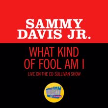 Sammy Davis Jr.: What Kind Of Fool Am I (Live On The Ed Sullivan Show, June 14, 1964) (What Kind Of Fool Am I)