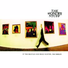 The Wonder Stuff: If The Beatles Had Read Hunter...The Singles
