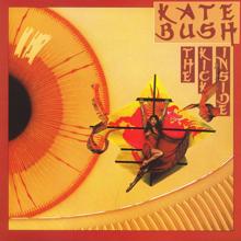 Kate Bush: Kite