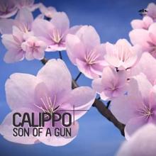 Calippo: Son of a Gun