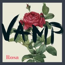 Vamp: Rosa