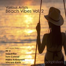 Various Artists: Beach Vibes, Vol. 2