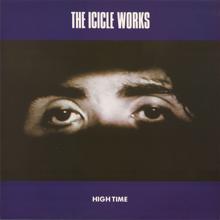 The Icicle Works: Travelling Chest