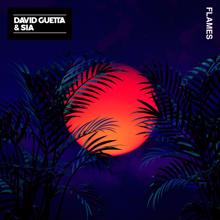 David Guetta, Sia: Flames