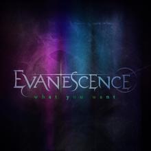 Evanescence: What You Want
