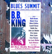 B.B. King: Little By Little (Album Version) (Little By Little)