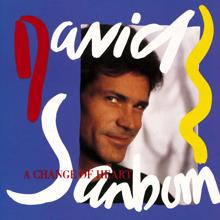 David Sanborn: Chicago Song