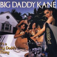 Big Daddy Kane: Rap Summary (Lean on Me) (Remix)