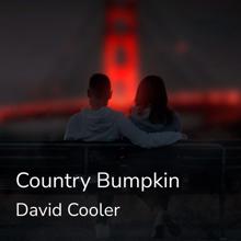 David Cooler: Country Bumpkin