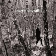 Martin Tingvall: En ny dag