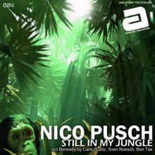 Nico Pusch: Still in my Jungle