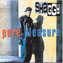 Shaggy: Pure Pleasure