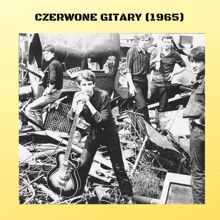 Czerwone Gitary: Taka jak ty