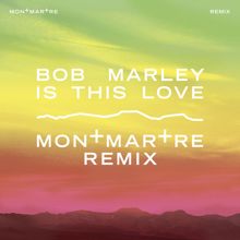 Bob Marley: Is This Love (Montmartre Remix) (Is This LoveMontmartre Remix)