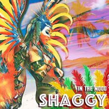 Shaggy: In The Mood