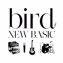 Bird: NEW BASIC