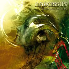 Narcissus: To James