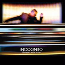 Incognito: The Winter of My Springs