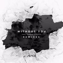 Avicii, Sandro Cavazza: Without You (Tokima Tokio Remix)