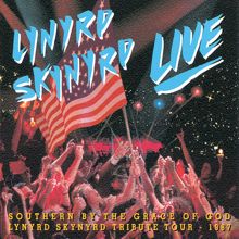 Lynyrd Skynyrd: I Know A Little (Live At The Omni, Atlanta/1987) (I Know A Little)