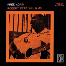 Robert Pete Williams: Two Wings (Album Version)