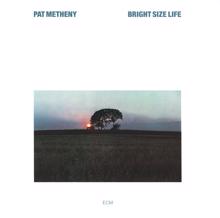 Pat Metheny: Midwestern Nights Dream