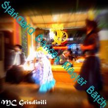 Mc Grisdinili: Standard Dances Master Batch