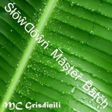 Mc Grisdinili: Slowdown Master Batch