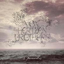 Von Hertzen Brothers: In Murmuration