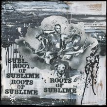 Sublime: Roots Of Sublime