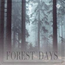 Nature Sounds: Forest Days