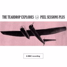 The Teardrop Explodes: Peel Sessions Plus