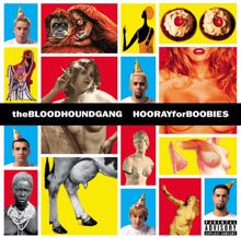 Bloodhound Gang: This Is Stupid