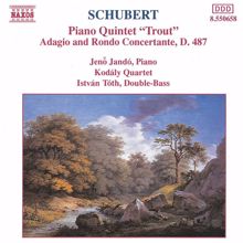 Jenő Jandó: Schubert: Trout Quintet / Adagio and Rondo Concertante