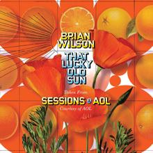 Brian Wilson: That Lucky Old Sun: AOL Sessions